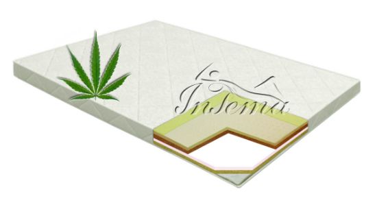Attēls Ava Hemp